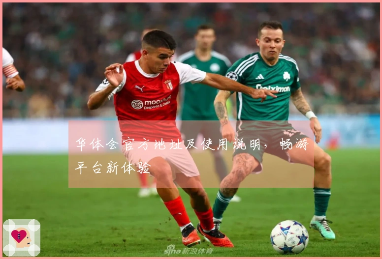 华体会官方地址及使用说明，畅游平台新体验