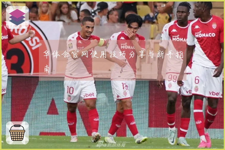 华体会官网使用技巧分享与新手指南