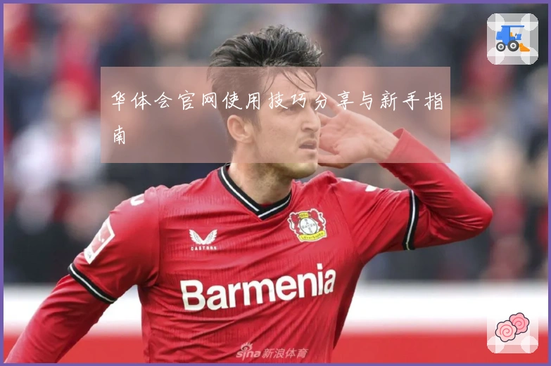 华体会官网使用技巧分享与新手指南